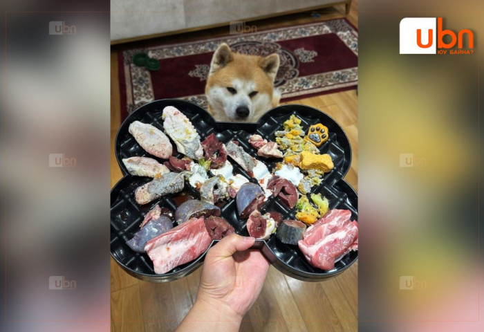 Х.Нямбаатар: Манай охин тэжээж байгаа нохойндоо JERKY /хатаасан мах/ бэлдэж, түүнийгээ инстаграммаар сурталчилж, зардаг нь хууль бус юм уу