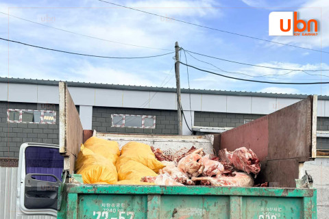 Хог тээврийн машинаар тээвэрлэсэн махыг устгалд оруулжээ