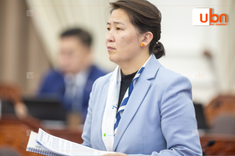 УИХ-ын гишүүн Х.Баасанжаргалыг Хүний эрхийн дэд хорооны даргаар сонголоо