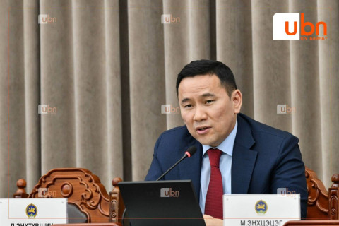 Д.Энхтүвшин: Хэдүүлээ дарга цэрэг эсвэл яаралтай горимоор орж ирсэн хуулийг л ярьдаг боллоо