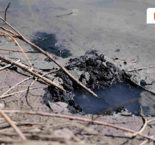 ЦЕГ: Нэр бүхий компани “Туулын хурдны зам” төслийн байгаль орчны нөлөөллийн үнэлгээг хийхдээ “Anionic Polyacrylamide” rэх бодисыг тусгай зөвшөөрөлгүй ашигласан нь ТОГТООГДСОН