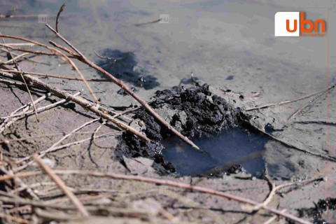 ЦЕГ: Нэр бүхий компани “Туулын хурдны зам” төслийн байгаль орчны нөлөөллийн үнэлгээг хийхдээ “Anionic Polyacrylamide” rэх бодисыг тусгай зөвшөөрөлгүй ашигласан нь ТОГТООГДСОН
