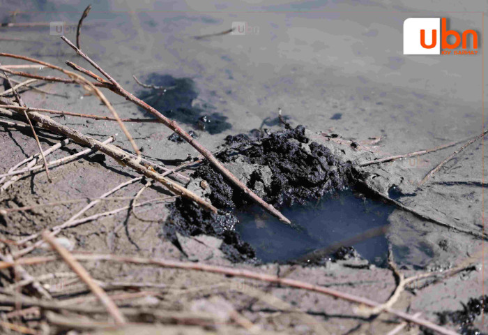 ЦЕГ: Нэр бүхий компани “Туулын хурдны зам” төслийн байгаль орчны нөлөөллийн үнэлгээг хийхдээ “Anionic Polyacrylamide” rэх бодисыг тусгай зөвшөөрөлгүй ашигласан нь ТОГТООГДСОН
