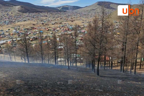 Шарга морьтын 4 га орчим газарт шар өвс шатаж байсныг бүрэн унтраажээ