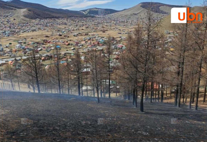 Шарга морьтын 4 га орчим газарт шар өвс шатаж байсныг бүрэн унтраажээ