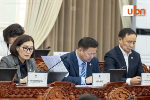АН-ын бүлэг Ерөнхийлөгчийн сонгуулийн тухай хуульд нэмэлт, өөрчлөлт оруулах хуулийн төслөөс тав хоногийн завсарлага авлаа
