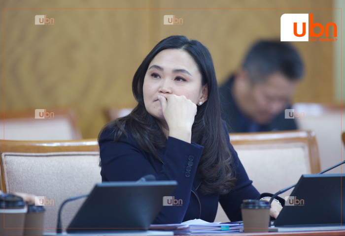 Ч.Номин: Төр хувийн хэвшлийн ажлыг булааж, платформ булаацалдсан зүйл байхгүй