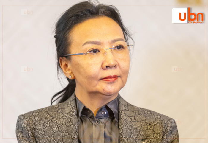 Х.Болормаа: СБД-ийн дотоод сонгуулийг хүчингүйд тооцох АН-ын ХЕХ-ны тогтоол дүрмийн бус