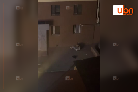 ЦЕГ: Орцны гадаа зодолдсон залуучуудыг бүртгэлд аван шалгаж байна