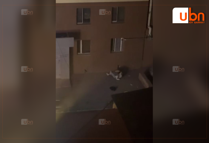 ЦЕГ: Орцны гадаа зодолдсон залуучуудыг бүртгэлд аван шалгаж байна
