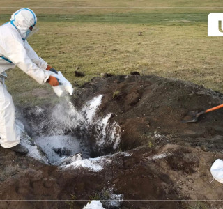 Малын гоц халдварт боом өвчнөөр 2 хүн өвчилжээ
