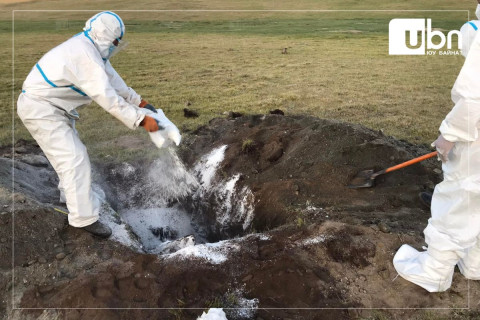 Малын гоц халдварт боом өвчнөөр 2 хүн өвчилжээ
