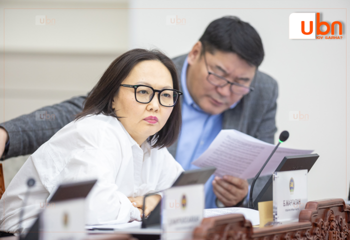 АН-ын бүлэг “Монголбанкны Тэргүүн дэд Ерөнхийлөгчөөр Э.Анарыг томилох“ асуудлаар авсан завсарлагаа сунгах гэсэн ч УИХ-ын дарга татгалзав