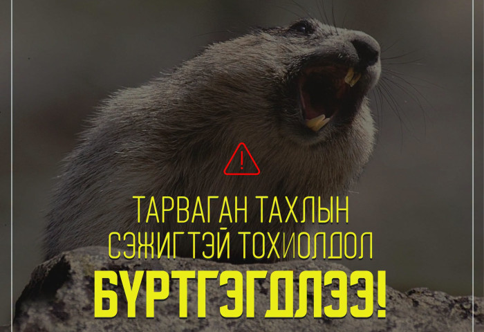 Ховд аймагт тарваган тахлын сэжигтэй тохиолдол бүртгэгджээ