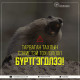 Ховд аймагт тарваган тахлын сэжигтэй тохиолдол бүртгэгджээ