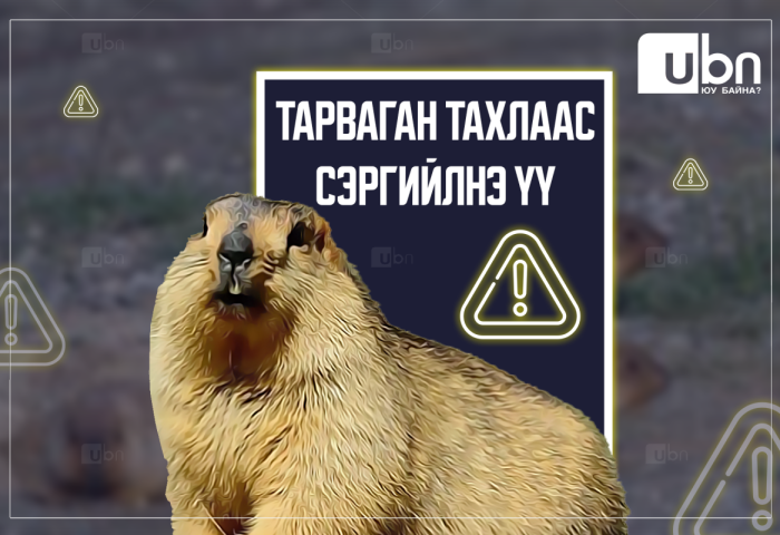 Ховд аймагт бүртгэгдсэн тарваган тахлын сэжигтэй тохиолдлын 1-р хавьтлын 12 хүнийг тогтоож, хяналтад авчээ
