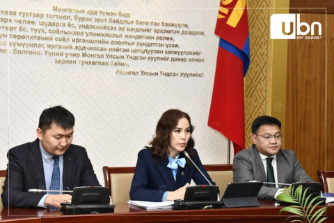 Ц.Мөнхцэцэг: УИХ анх удаа хүний эрх, жендэрийн асуудлаар өөрийн үнэлгээ хийнэ