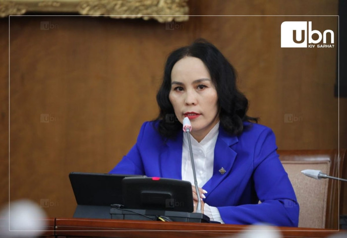 Ц.Мөнхцэцэг: Иргэдэд эд материал, мөнгөн урамшуулал тараахыг хуулиар хориглох нь зөв