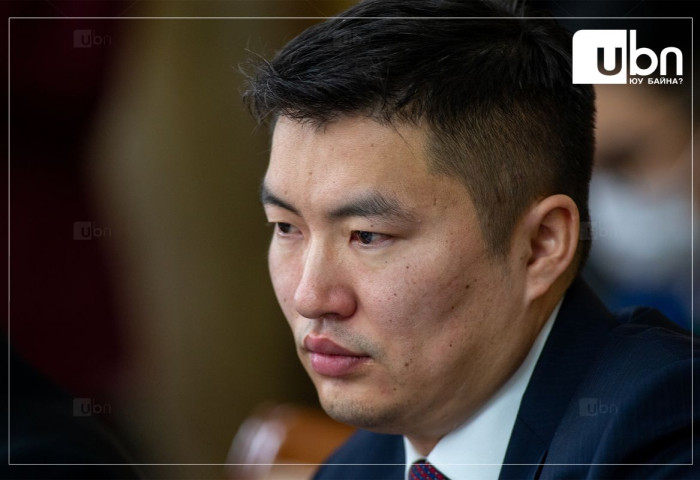 Н.Мандуул: Маш олон зээлийн цаана эцсийн өмчлөгч нь улс төрийн нөлөө бүхий цөөн хүмүүс байгаа нь сонсголоор анзаарагдаж байна