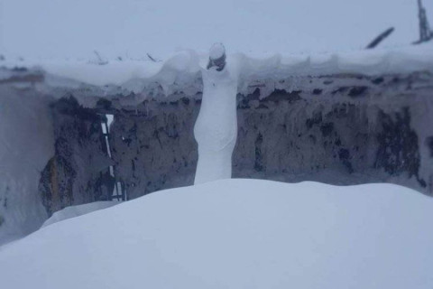 Дорнод аймгийн Дашбалбар, Баян-Уул сумдад нойтон цас их орсноос гамшгийн түвшинд хүрчээ