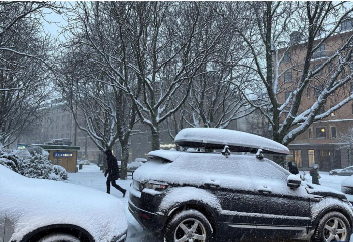 Шведийн Стокгольм хотод их хэмжээний цас орж, авто тээврийн замуудыг хаажээ