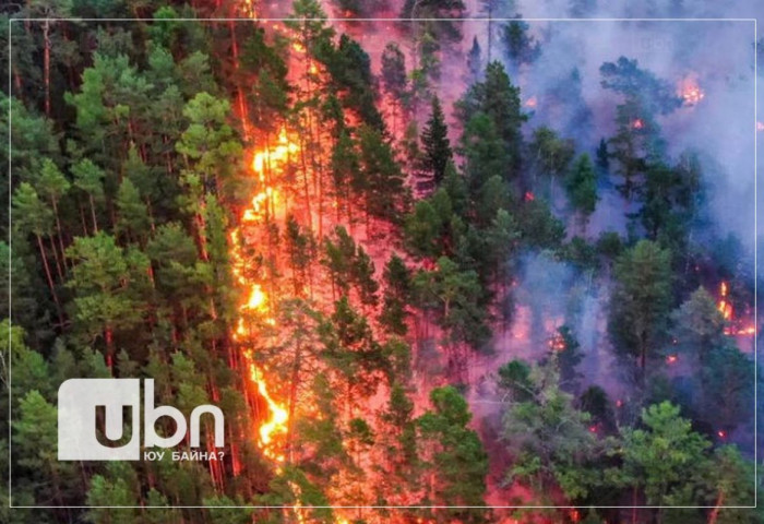 Якутад гарсан ойн гал түймэрт 1.417.718 га талбай өртөөд байна