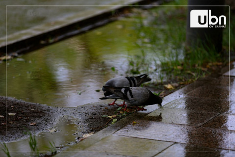 ӨГЛӨӨНИЙ МЭНД: Өнөөдөр Улаанбаатарт 16 хэм дулаан, бороотой