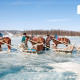 ОБЕГ: “Хөх сувд“ мөсний баярыг зорьж буй аялагчид шөнийн цагаар мөсөн дээр зорчихгүй байна уу