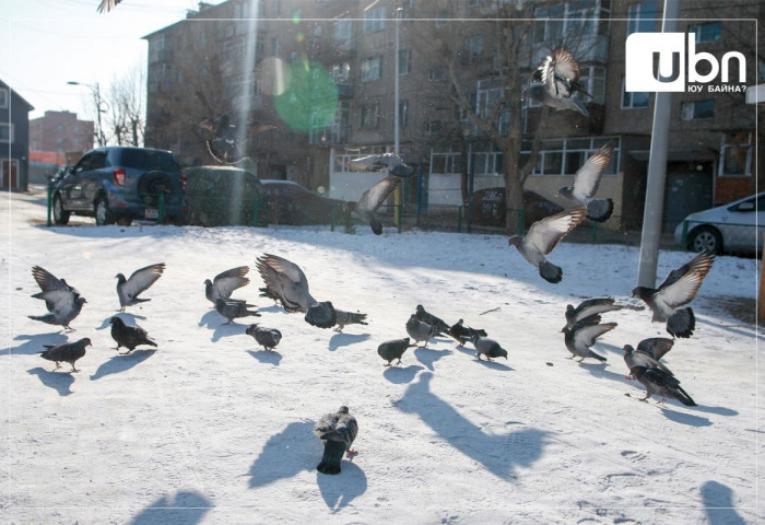МАРГААШ: Улаанбаатарт -11 хэм хүйтэн, цас орохгүй