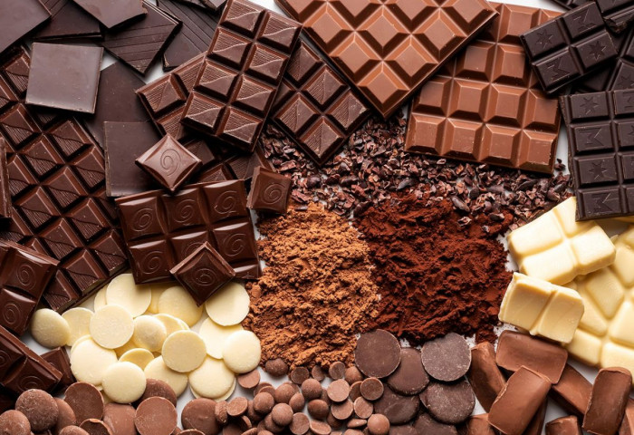 Дэлхийн хамгийн том шоколадны үйлдвэрт халдварт өвчний нян илэрсэн тул үйл ажиллагааг нь түр зогсоожээ