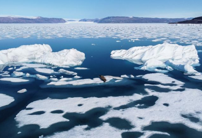 ФОТО:  Гренландын мөс хайлж өдөрт 6 тэрбум тонн ус далайд цутгажээ