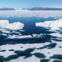 ФОТО:  Гренландын мөс хайлж өдөрт 6 тэрбум тонн ус далайд цутгажээ